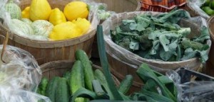Fermiers de famille - panier légumes