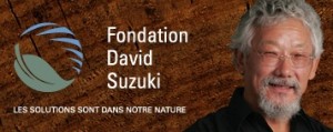 Logo Fondation David Suzuki - Fermeture central nucléaire Gentilly-2