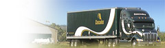 Camion Cascades Transport