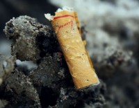 Les mégots de cigarettes du Casino de Montréal seront recyclés