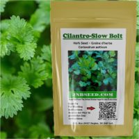 How to grow hydroponic Cilentro?