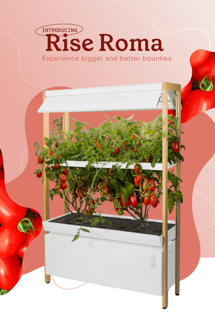 Lancement Rise Gardens Rise Roma spécialement conçu pour la culture des tomates hydroponique à la maison